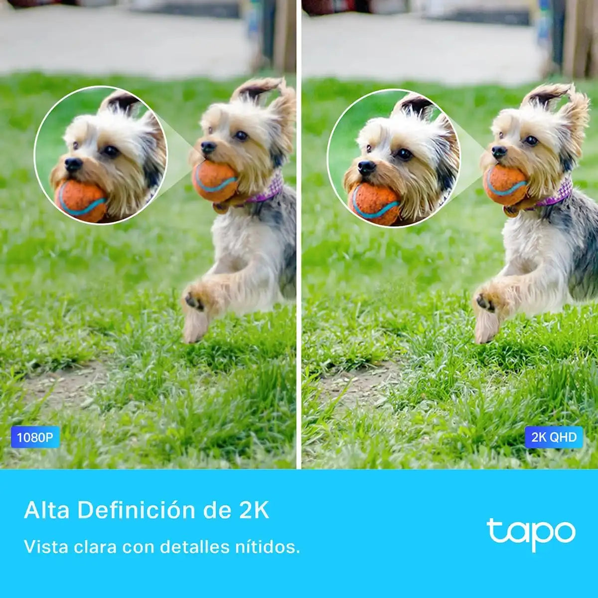 taposmart.us.com